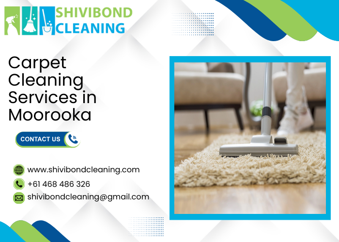 Carpet Cleaning Services in Holland Park West