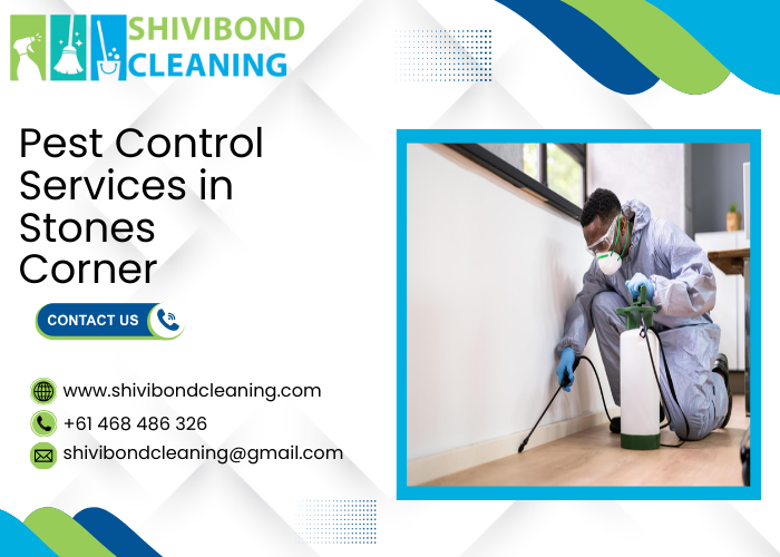 Pest Control Services in Stones Corner